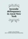 Juvenile delinquency in rural New York - Kate Holladay Claghorn