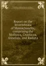 Report on the Invertebrata of Massachusetts, comprising the Mollusca, Crustacea, Annelida, and Radiata - Augustus Addison Gould