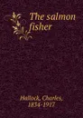 The salmon fisher - Charles Hallock