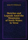 Sketches and Legends Amid the Mountains of North Wales: In Verse - Janet W. Wilkinson