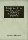 Tubular and Other Iron Girder Bridges Particularly Describing the Britannia . - George Drysdale Dempsey