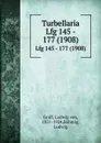 Turbellaria. Lfg 145 - 177 (1908) - Ludwig von Graff