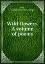 Wild-flowers. A volume of poems - Joseph Daly