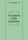 A Copious Latin Grammar - Immanuel Johann Gerhard Scheller