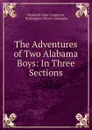 The Adventures of Two Alabama Boys: In Three Sections - Hezekiah John Crumpton