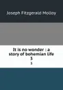 It is no wonder : a story of bohemian life. 3 - J. Fitzgerald Molloy