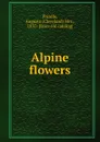 Alpine flowers - Cleveland Prindle