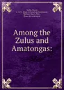 Among the Zulus and Amatongas: - David Leslie