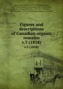 Figures and descriptions of Canadian organic remains. v.3 (1858) - John William Salter