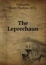 The Leprechaun - James Thomas Gallagher