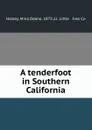 A tenderfoot in Southern California - Mina Deane Halsey