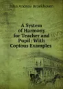 A System of Harmony for Teacher and Pupil: With Copious Examples . - John Andrew Broekhoven