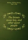 The brown stone boy, and other queer people - William Henry Bishop