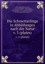 Die Schmetterlinge in Abbildungen nach der Natur. v. 3 (plates) - Eugen Johann Christoph Esper