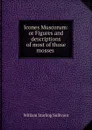 Icones Muscorum: or Figures and descriptions of most of those mosses . - William Starling Sullivant