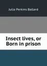 Insect lives, or Born in prison - Julia Perkins Ballard
