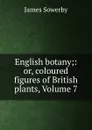 English botany;: or, coloured figures of British plants, Volume 7 - James Sowerby