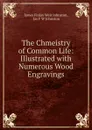 The Chmeistry of Common Life: Illustrated with Numerous Wood Engravings - James Finlay Weir Johnston