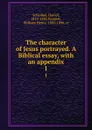 The character of Jesus portrayed. A Biblical essay, with an appendix. 1 - Daniel Schenkel