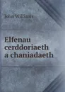 Elfenau cerddoriaeth a chaniadaeth - John Williams