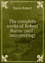 The complete works of Robert Burns: (self-interpreting) - Robert Burns