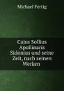 Cajus Sollius Apollinaris Sidonius und seine Zeit, nach seinen Werken . - Michael Fertig