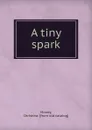 A tiny spark - Christina Moody