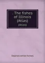 . The fishes of Illinois. (Atlas) - Forbes Stephen Alfred