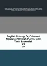 English Botany, Or, Coloured Figures of British Plants, with Their Essential . 29 - James Sowerby