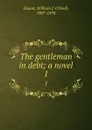 The gentleman in debt; a novel. 1 - William J. O'Neill Daunt