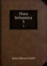 Flora britannica. 3 - James Edward Smith