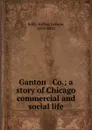 Ganton . Co.; a story of Chicago commercial and social life - Arthur Jerome Eddy