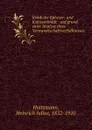 Kritik der Epheser- und Kolosserbriefe : auf grund einer Analyse ihres Verwandtschaftsverhaltnisses - Heinrich Julius Holtzmann