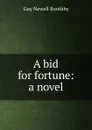 A bid for fortune: a novel - Guy Newell Boothby