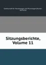 Sitzungsberichte, Volume 11 - Munich