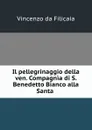 Il pellegrinaggio della ven. Compagnia di S. Benedetto Bianco alla Santa . - Vincenzo da Filicaia