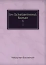 Im Schellenhemd: Roman. 1 - Nataly von Eschstruth