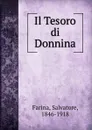 Il Tesoro di Donnina - Salvatore Farina