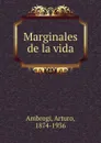 Marginales de la vida - Arturo Ambrogi