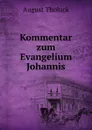 Kommentar zum Evangelium Johannis - August Tholuck