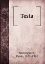 Testa - Paolo Mantegazza