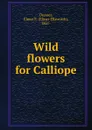 Wild flowers for Calliope - Elmer Ellsworth Dresser