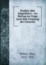 Studien uber Saugethiere : ein Beitrag zur Frage nach dem Ursprung der Cetaceen - Max Weber