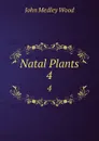 Natal Plants. 4 - John Medley Wood