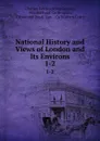 National History and Views of London and Its Environs. 1-2 - Charles Frederick Partington