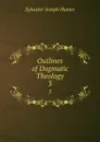 Outlines of Dogmatic Theology. 3 - Sylvester Joseph Hunter