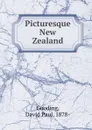 Picturesque New Zealand - David Paul Gooding