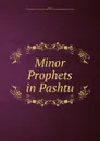 Minor Prophets in Pashtu - Thomas John Lee Mayer