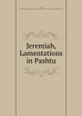 Jeremiah, Lamentations in Pashtu - Thomas John Lee Mayer