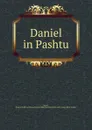 Daniel in Pashtu - Thomas John Lee Mayer